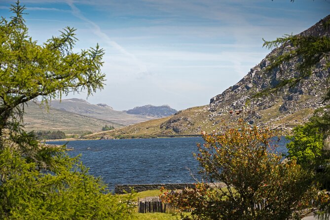 North Wales and Caernarfon Castle day-tour from Liverpool - Caernarfon Castle: the day’s main historic sight