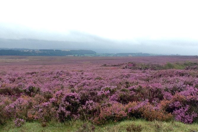 North York Moors and Whitby Day Tour from York - Why this York day trip works