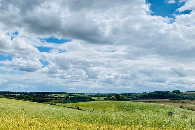 One Day Tour from London to The Cotswolds - Adrian’s role and the value of a private guide