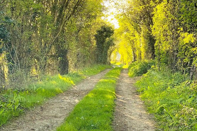 One Day Tour from London to The Cotswolds - Who will get the most from this day
