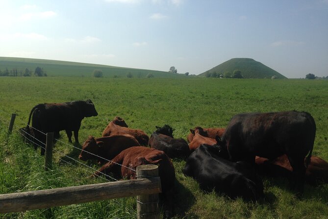 Private Archaeologist Guided Tour Stonehenge, Salisbury & Avebury - West Kennet Long Barrow: the most atmospheric stop