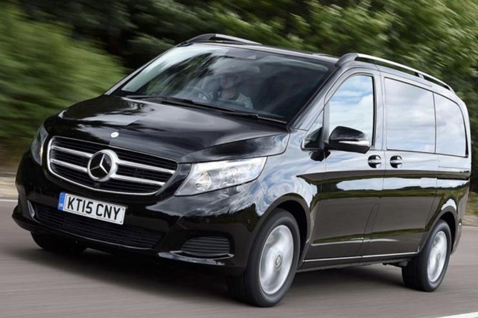 Private Chauffeured Minivan Tour of Stonehenge from London - Drivers and vehicles