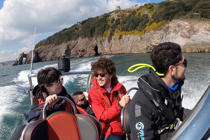 Private Coastal Boat Tour in Torquay - Pausing for dolphins and porpoises