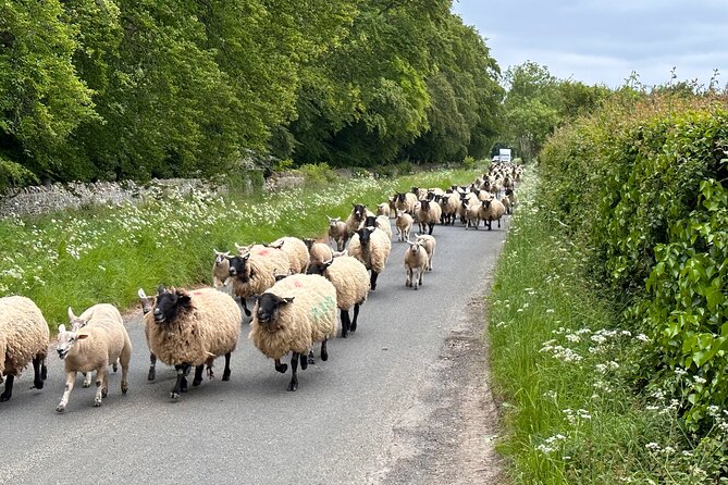 Private Day Tour from Bath to the Captivating Cotswolds - Lunch in a traditional country inn