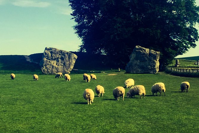 Private Day Tour to Bath, Avebury & The Cotswolds - What private touring changes