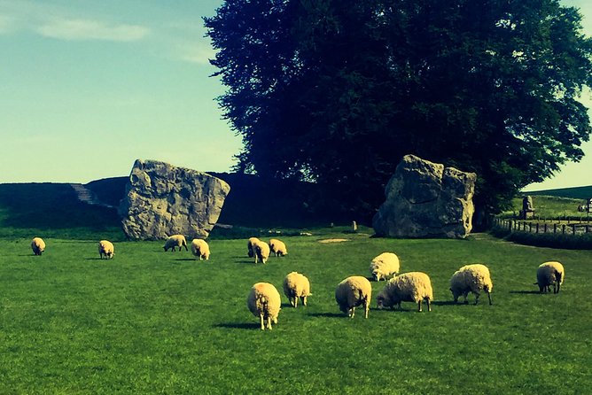 Private Day Tour to Bath, Avebury & The Cotswolds - Timing, fitness, and practical limits
