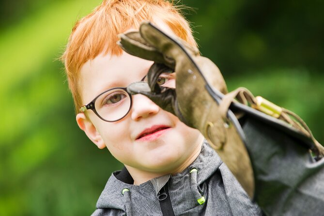 Private Family Bird of Prey Experience in Carlisle - What the family session actually involves