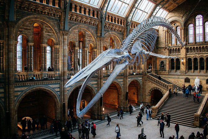 Private Guided Tour of Natural History Museum - Skip the Line - Key points to know before booking