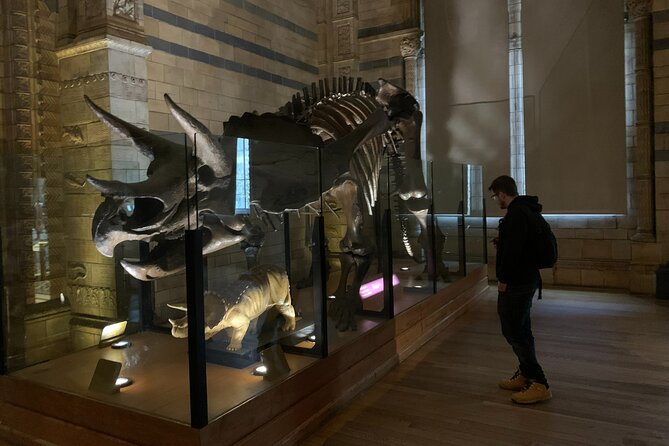 Private Guided Tour of Natural History Museum - Skip the Line - Why a private museum tour helps