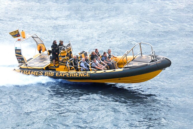 PRIVATE HIRE 45 min Speedboat Tour - Embankment/Westminster Pier - Tower Bridge, the Tower of London, and HMS Belfast