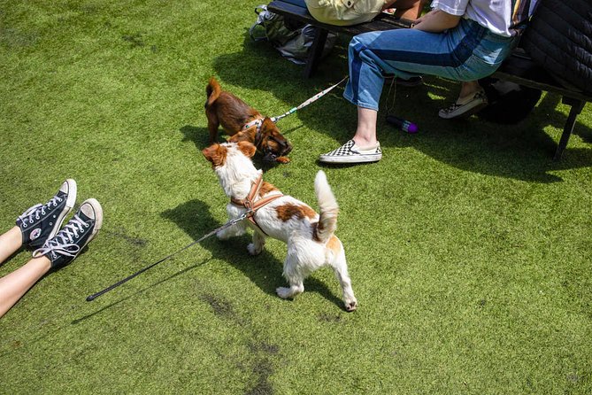 Private London Street Photography Workshop - Piccadilly Circus and quick-moving subjects