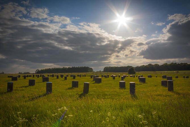Private Stonehenge, Woodhenge, Avebury Stone Circle Day Tour - A private guide can reshape the day