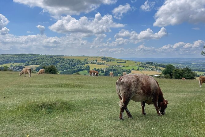 Private tour of the stunning Cotswolds with an expert local guide - Lower Slaughter and the optional lunch stop