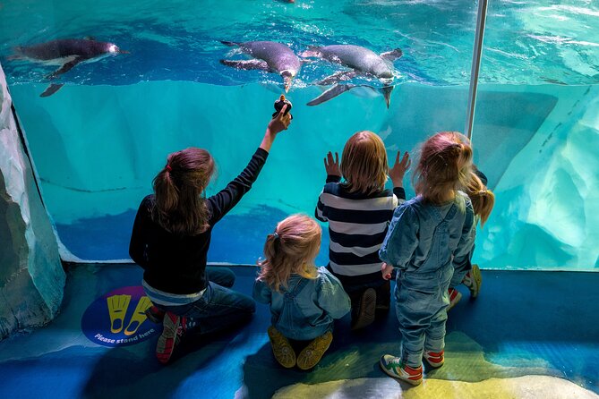 SEA LIFE Birmingham Admission Ticket - The 360° Ocean Tunnel is the main spectacle
