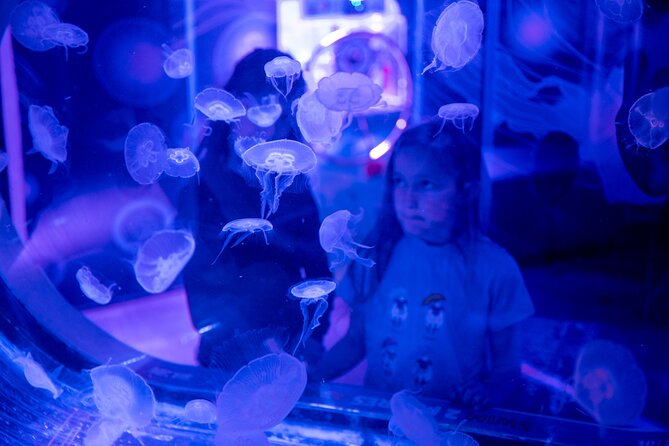 SEA LIFE Birmingham Admission Ticket - How much time should you allow?