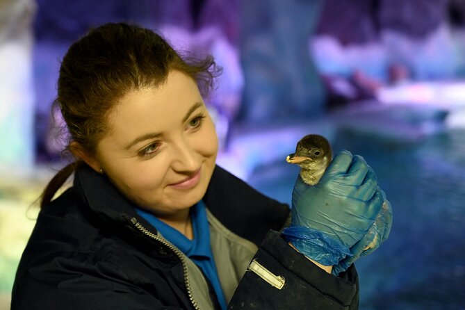 SEA LIFE Birmingham Admission Ticket - Is $26.05 good value?