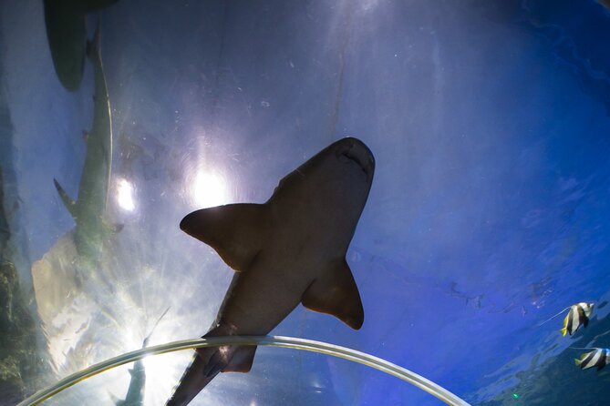 SEA LIFE Birmingham Admission Ticket - Facilities and practical planning