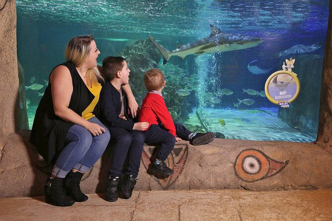 SEA LIFE Blackpool Admission Ticket - Seahorse Kingdom offers a quieter pause