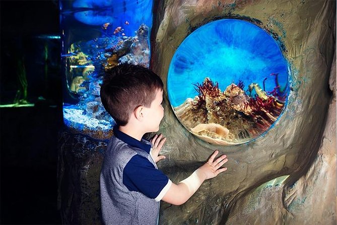 SEA LIFE Blackpool Admission Ticket - Take a submarine-style trip into the ocean depths