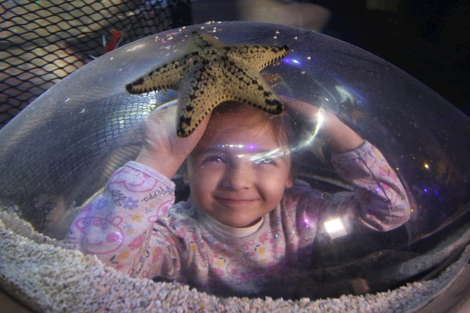 SEA LIFE Blackpool Admission Ticket - Enter the jungle, but watch the frogs