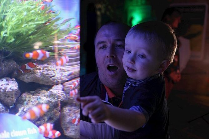 SEA LIFE Blackpool Admission Ticket - Meet the creatures of the northwest coast