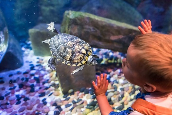 SEA LIFE Brighton Admission Ticket - From Brighton’s arcade into a tropical rainforest