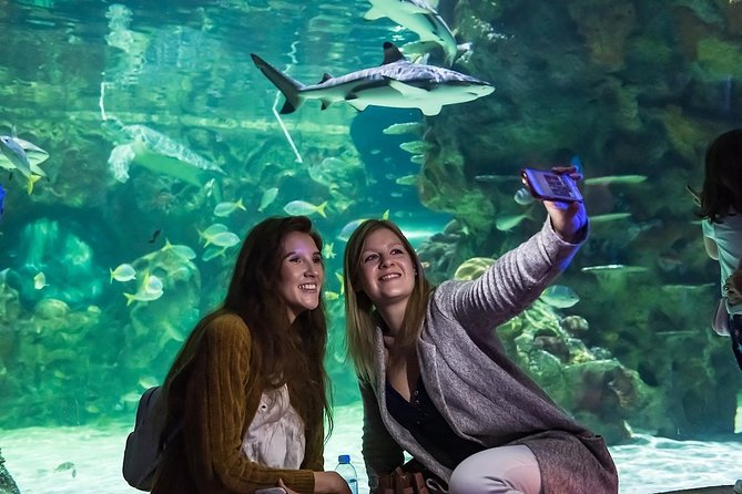 SEA LIFE Brighton Admission Ticket - Walking under sharks, turtles, and tropical fish