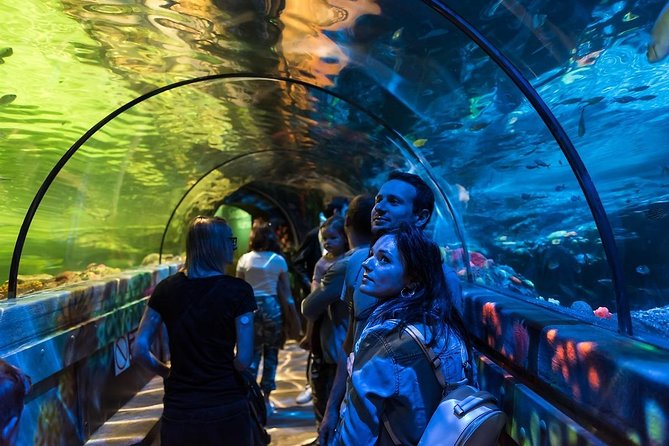 SEA LIFE Brighton Admission Ticket - Seahorses, breeding work, and small details