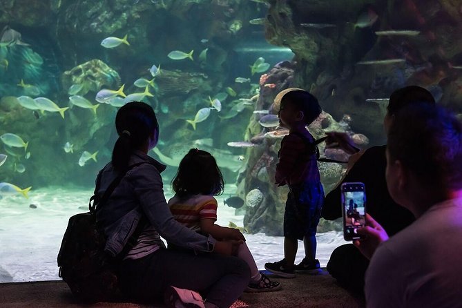 SEA LIFE Brighton Admission Ticket - How long you need and what the ticket includes