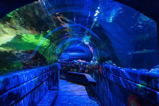 SEA LIFE Brighton Admission Ticket - Booking, printing, and timing details