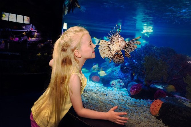 SEA LIFE Great Yarmouth General Admission - What you actually see inside SEA LIFE Great Yarmouth