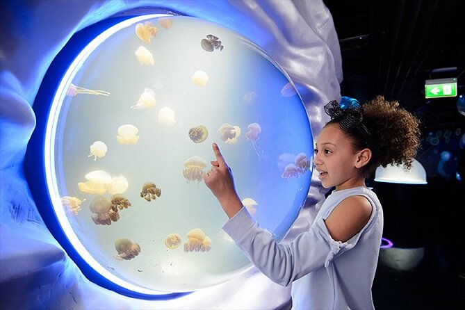 SEA LIFE London Aquarium Admission Ticket - Key points to know before you book