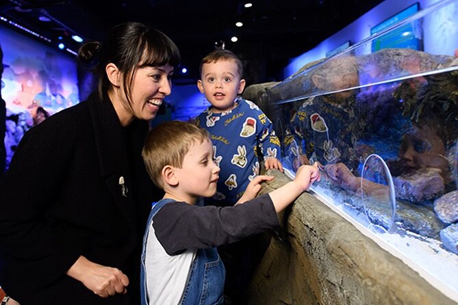 SEA LIFE London Aquarium Admission Ticket - What the SEA LIFE London experience is really like