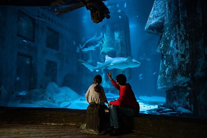 SEA LIFE London Aquarium Admission Ticket - Timing matters more than the advertised two hours
