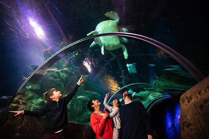 SEA LIFE London Aquarium Admission Ticket - Is $38.48 good value?