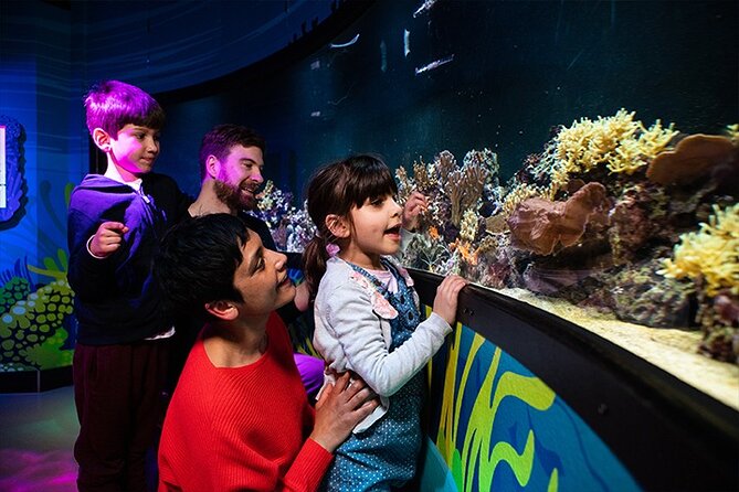 SEA LIFE London Aquarium Admission Ticket - Who should book this admission ticket?