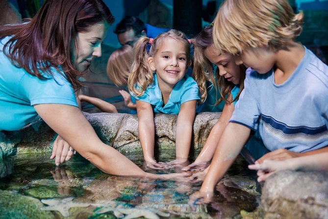 SEA LIFE Manchester Admission Ticket - Octopus Prime and the Shipwreck Scene