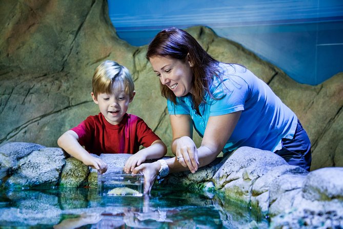 SEA LIFE Manchester Admission Ticket - The Glass Tunnel and Ernie the Turtle