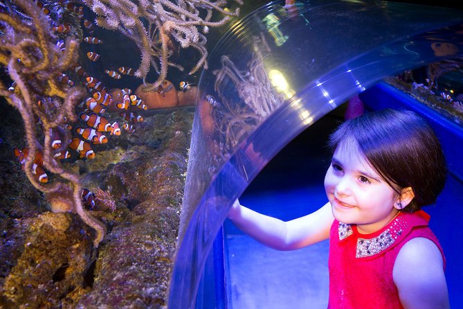SEA LIFE Manchester Admission Ticket - Sharks, Rays, and the Tropical Ocean Tank