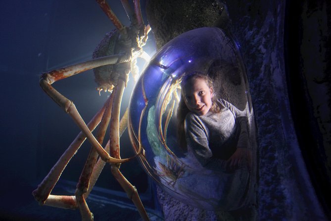 SEA LIFE Manchester Admission Ticket - Stingray Bay and the Rockpools
