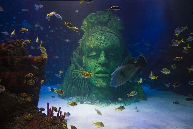 SEA LIFE Manchester Admission Ticket - Conservation Cove Ends the Visit