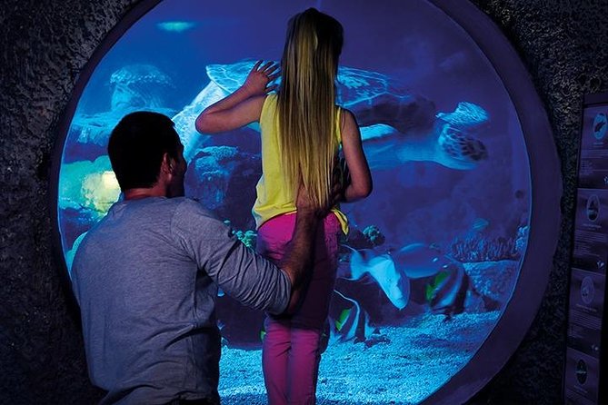 SEA LIFE Manchester Admission Ticket - Moon Jellyfish in Changing Colors