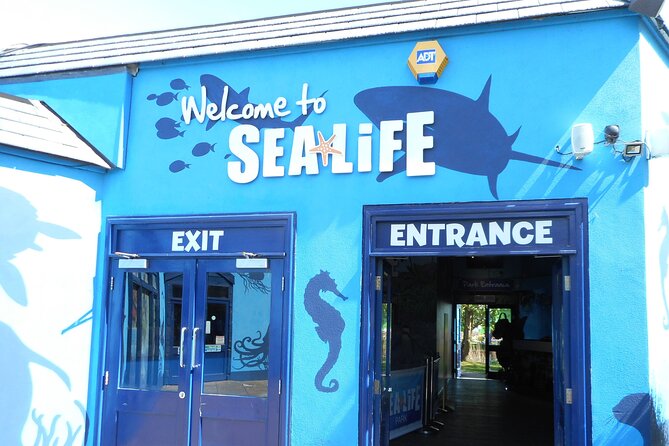 SEA LIFE Weymouth Admission Ticket - Otter feeding brings the exhibits to life