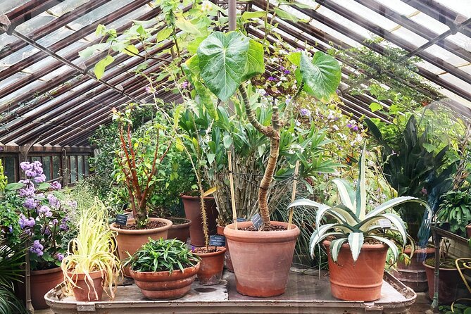Secret Gardens of London Private Tour - The Inns of Court and their quiet courtyards