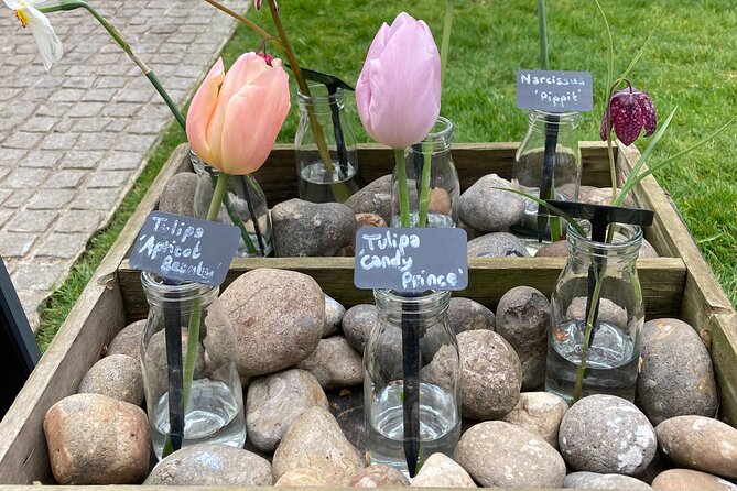 Secret Gardens of London Private Tour - Is the $536.68 price reasonable?