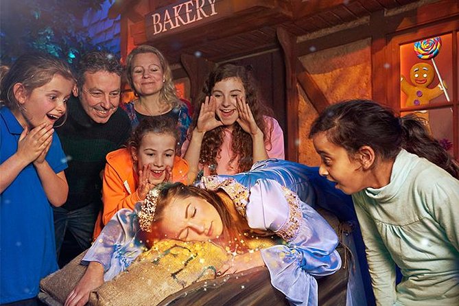 Shrek's Adventure! London Entrance Ticket - Ticket problems and how to avoid a bad start