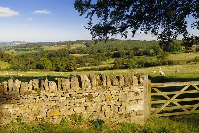 Small-Group Cotswolds Tour (From London) - The driver-guide can make or break the day