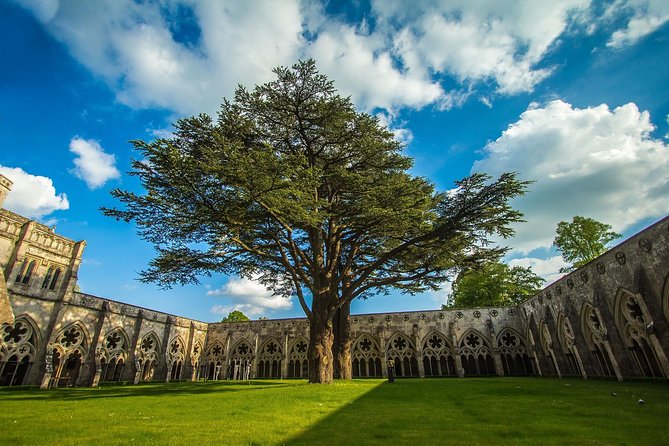 Southampton: Post-Cruise Tour to London via Salisbury, Stonehenge and Windsor - Guides, drivers, and the human side of the day