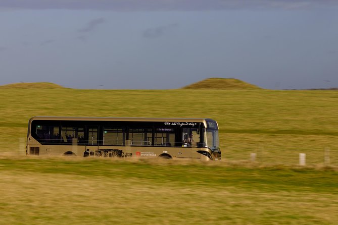 Stonehenge Shuttle Bus from London with Optional Fish & Chips - Arriving at the stones on Salisbury Plain