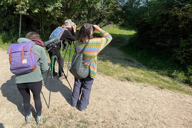 Sussex Birdwatching Private Guided Day Tour - The best seasons for different birds